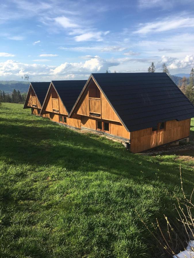 Domek Na Skarpce Zakopane Eksteriør billede